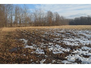 Property photo 33 - FARMLAND AUCTION, 60+/- Acres in 6 Tracts ranging from 4 to 20 acres & in combinations!